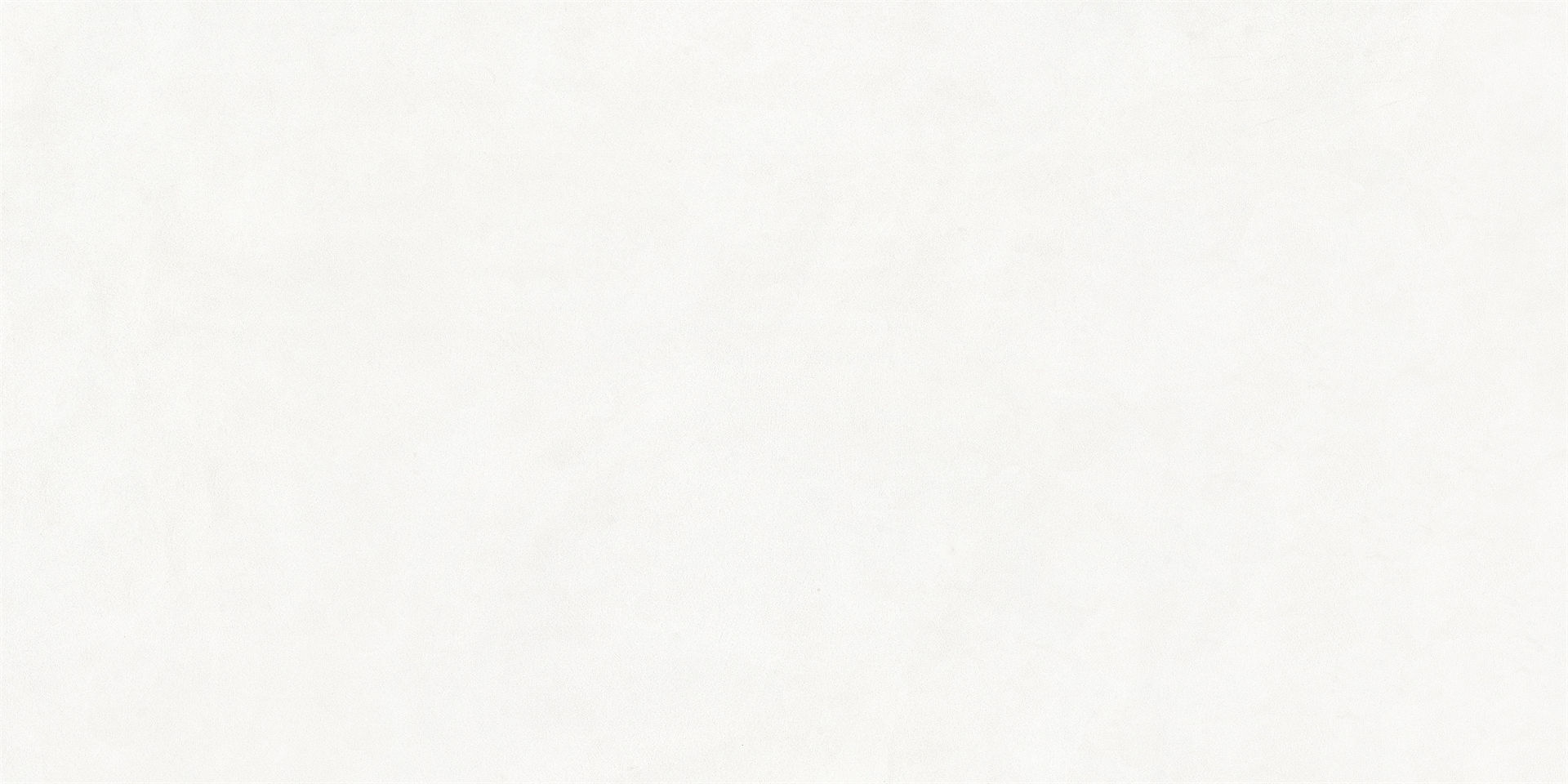 璞C18920